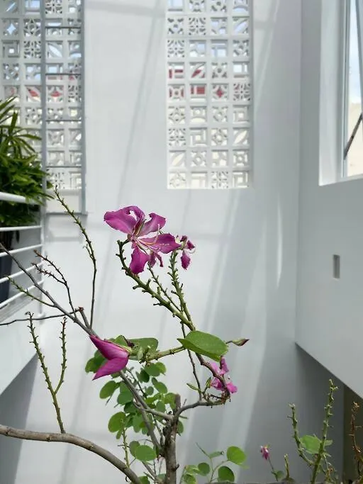Holiday home Bloom House - Homestay Vung Tau Vietnam
