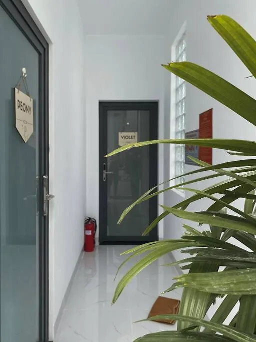 Bloom House - Homestay Vung Tau Holiday home